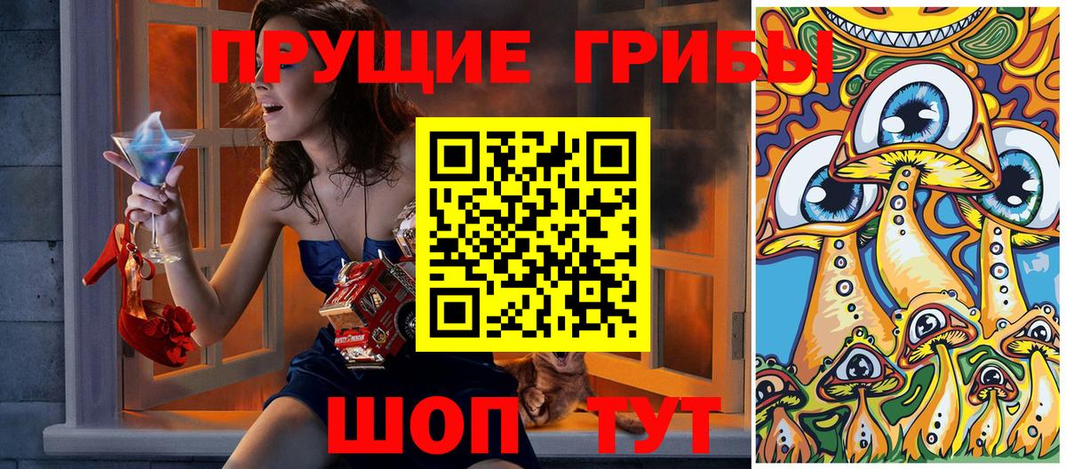 Псилоцибиновые грибы Psilocybine cubensis Фрязино