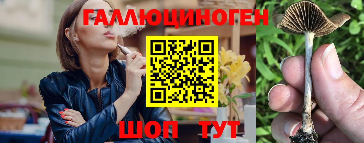 Фрязино  Псилоцибиновые грибы Psilocybine cubensis  Галлюциногенные грибы Psilocybine cubensis  Вход с VPN 