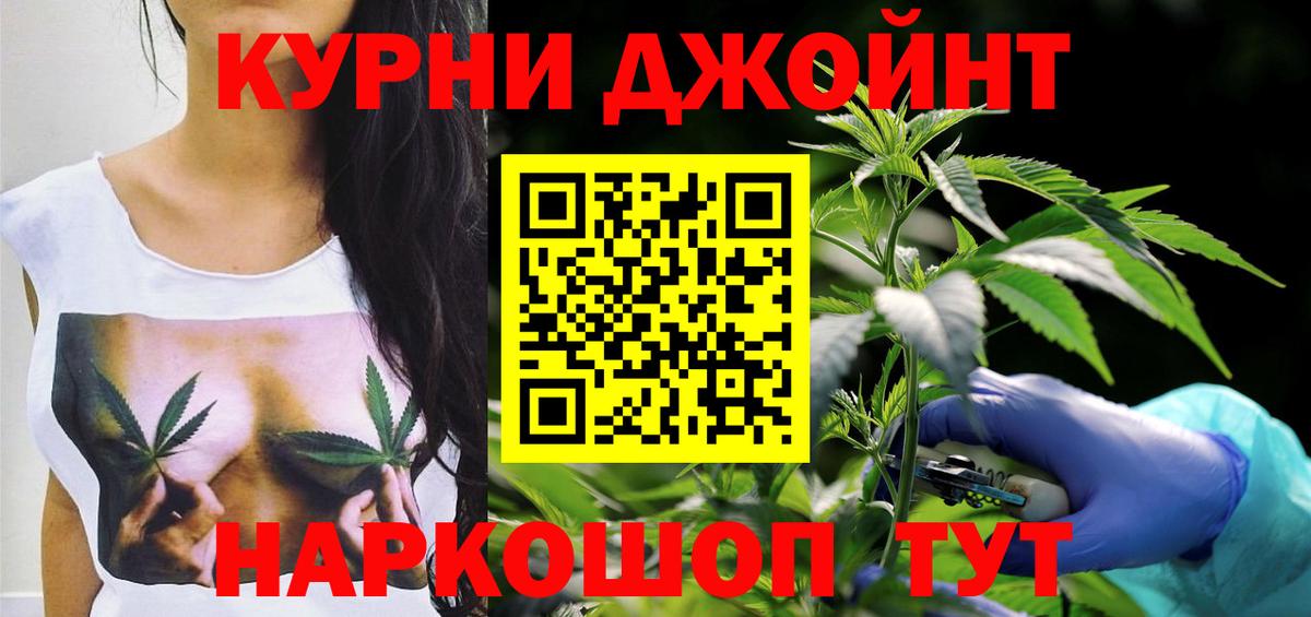 Бошки марихуана конопля  Вход с VPN  МАРИХУАНА THC 21%  Фрязино 